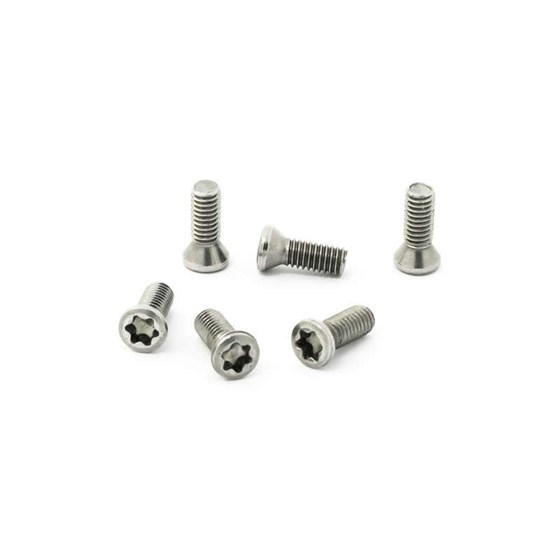 PARAFUSO TORK M4,5 X 10,0MM PARA CHAVE T15 - DRY CUT